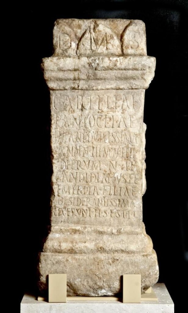 Ara de Cartilia Pantoclia