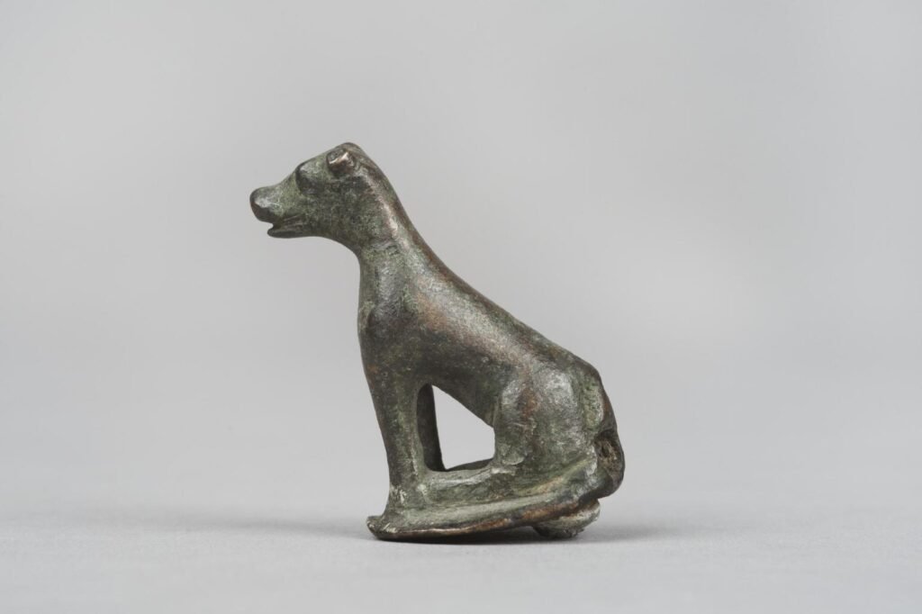 El perro